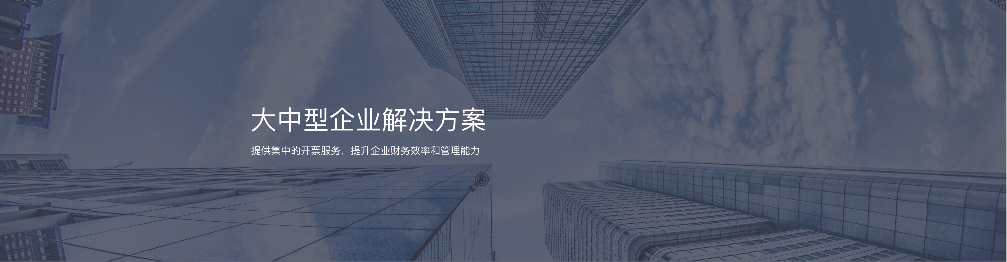 大中型企业解决方案