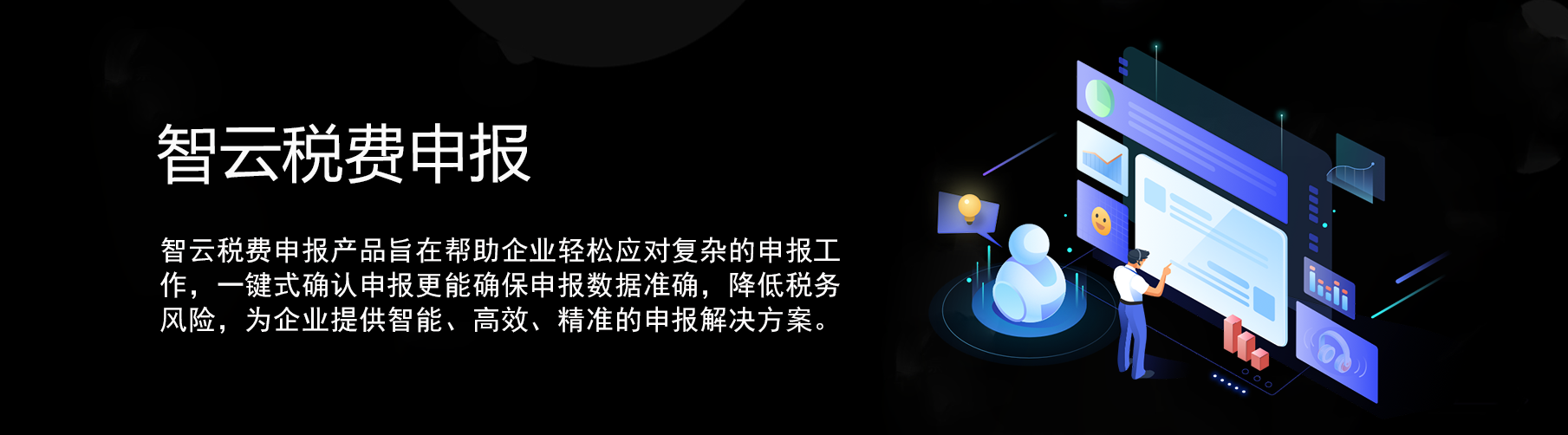 智云税费申报